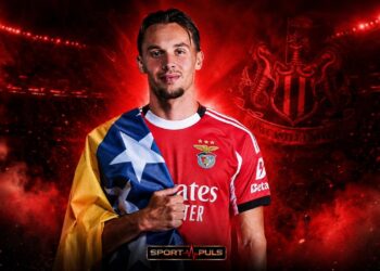 Amar Dedić Benfica Newcastle transfer