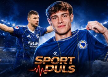 Mahmić Schalke transfer uz Edina Džeku u pozadini.