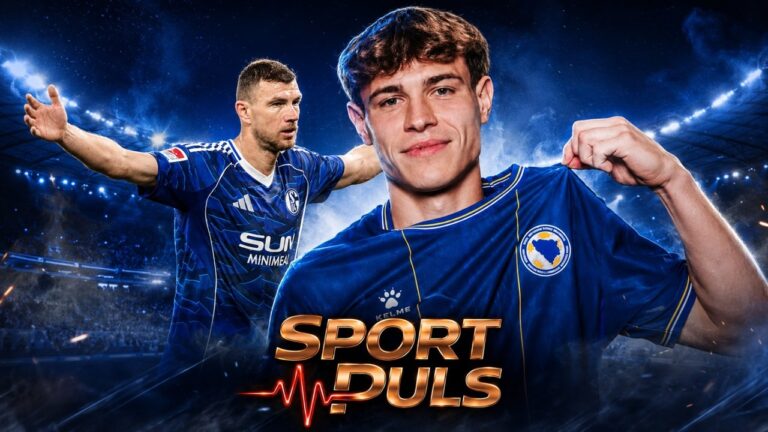 Mahmić Schalke transfer uz Edina Džeku u pozadini.