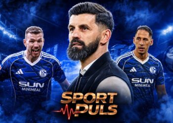 Bosanci u Schalkeu – Muslić, Džeko i Katić