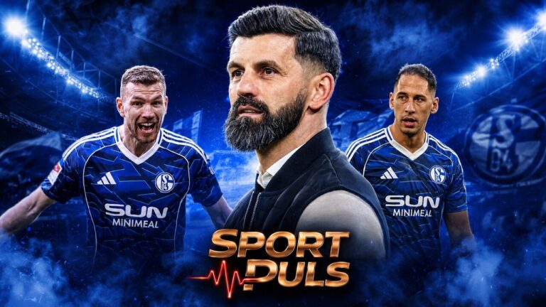 Bosanci u Schalkeu – Muslić, Džeko i Katić