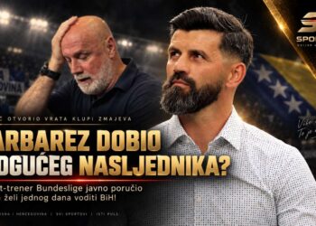 Barbarez i Miron Muslić u priči o klupi reprezentacije BiH