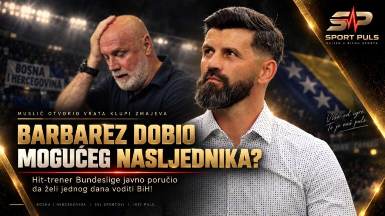 Barbarez i Miron Muslić u priči o klupi reprezentacije BiH